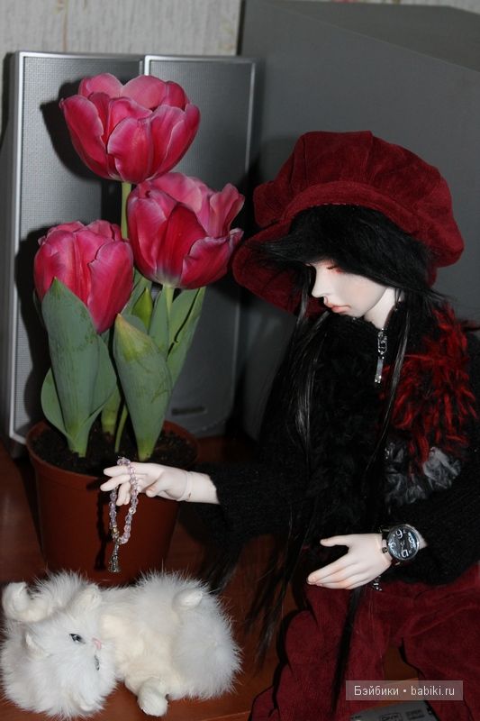 Терренс,D.I.M