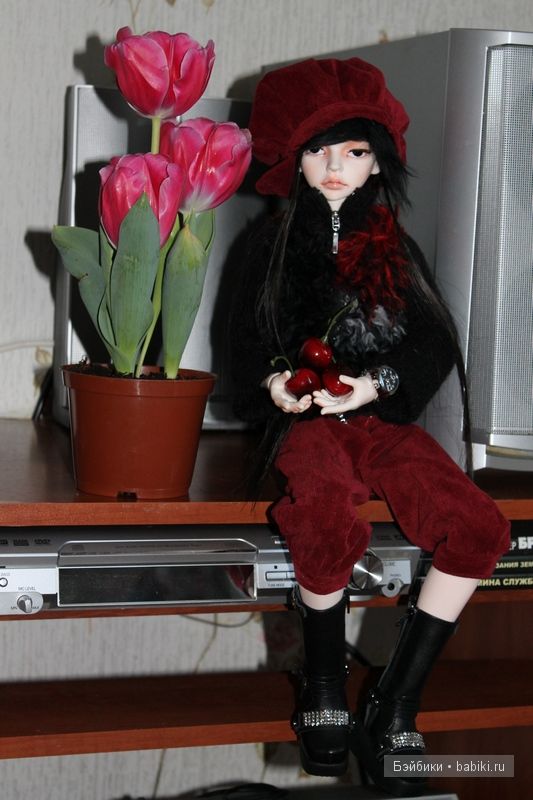 Терренс,D.I.M