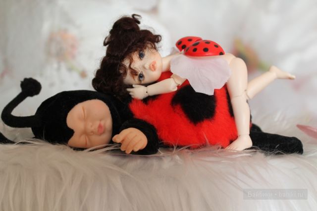 Донг-Донг,Долл-Зоне