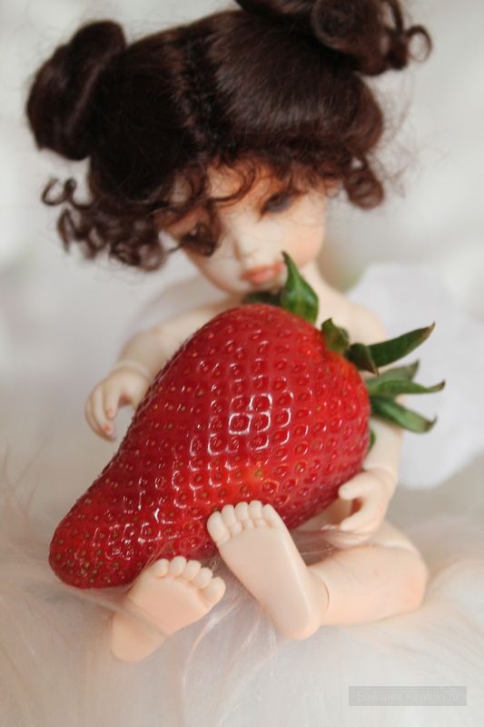 Донг-Донг,Долл-Зоне