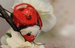 Вальпургиева ночь,ЕГЭ маленькой Бабы-Яги