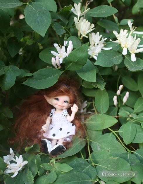 Донг=Донг,Доллзоне