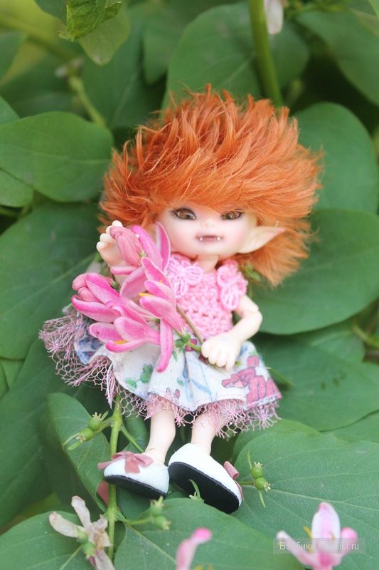 Донг=Донг,Доллзоне