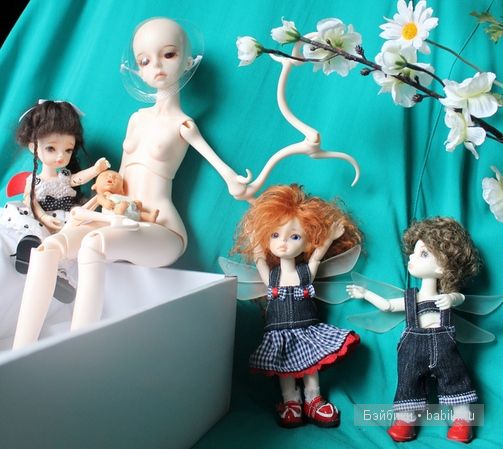 Ренате,ДоллЗоне