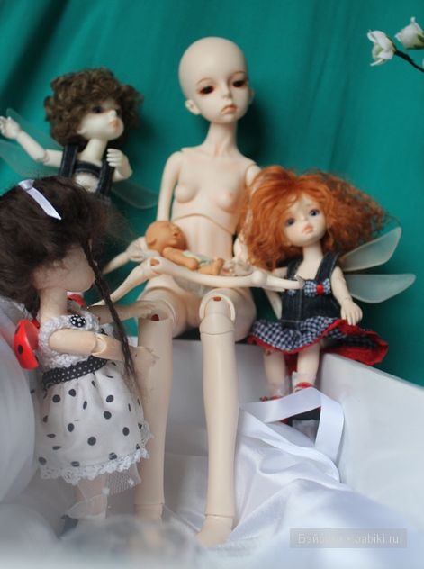 Ренате,ДоллЗоне