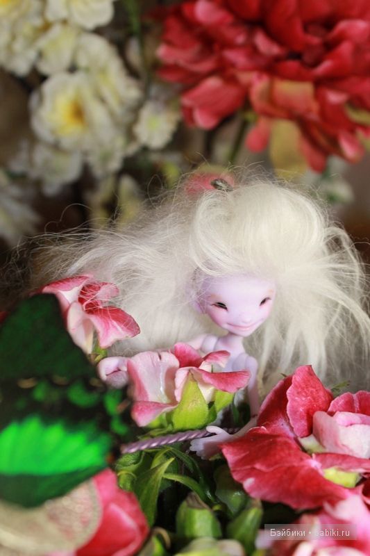Elvenia the elf,Dreamhigh studio Elvenia the elf,Dreamhigh studio