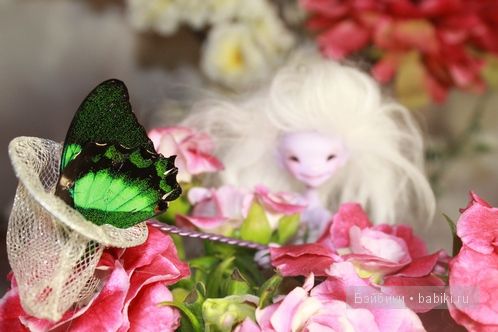 Elvenia the elf,Dreamhigh studio Elvenia the elf,Dreamhigh studio