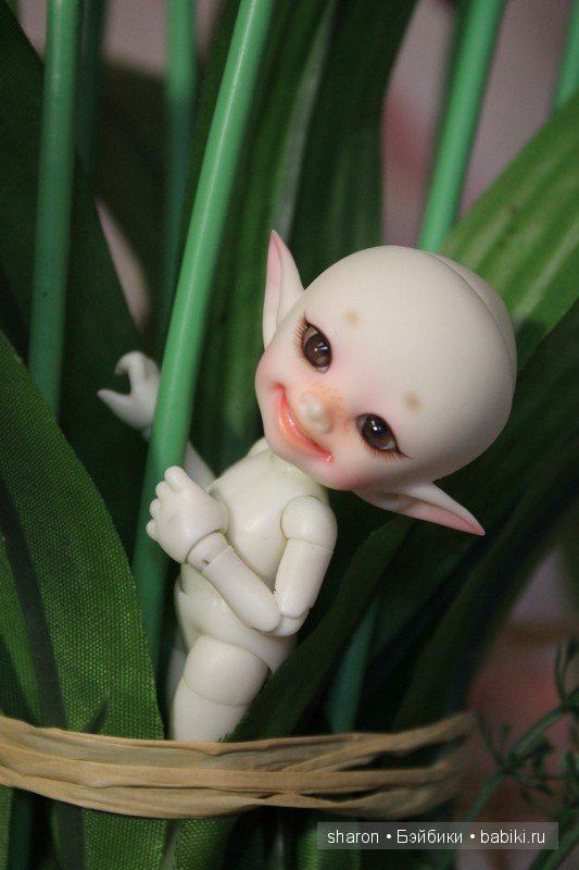 Кто приехал по обмену — Куклы Fairyland (ФэйриЛэнд): BJD (БЖД) (фото 6)
