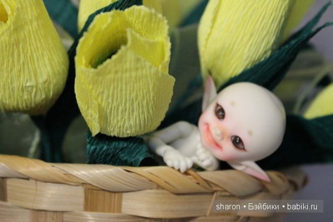 Кто приехал по обмену — Куклы Fairyland (ФэйриЛэнд): BJD (БЖД) (фото 5)