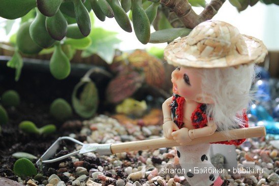 Во саду ли,в огороде | Бэйбики Во саду ли,в огороде — Куклы Fairyland (ФэйриЛэнд): BJD (БЖД)