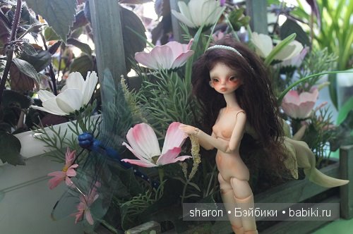 Безумное чаепитие Улитки Ларри (фото 8)