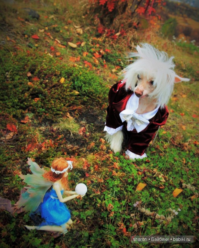 Поздравление,от проснувшихся Фей (фото 7)