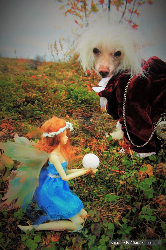 Поздравление,от проснувшихся Фей (фото 8)