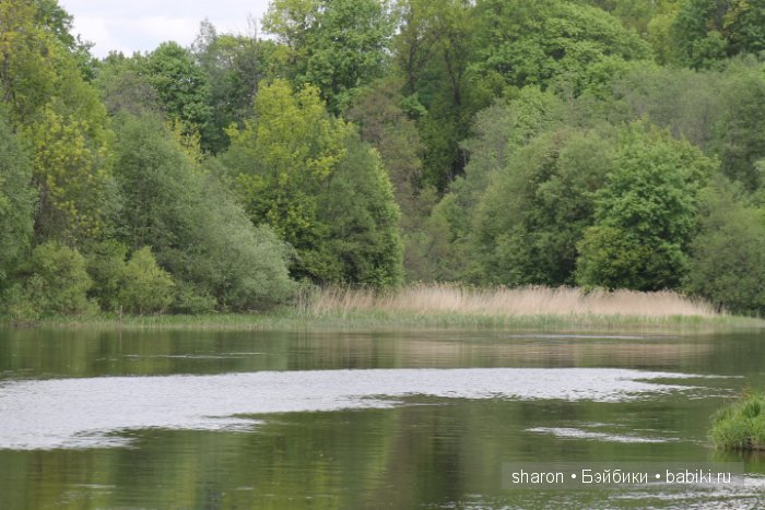 Майский отпуск — Куклы Dollzone (Доллзон): BJD (БЖД)