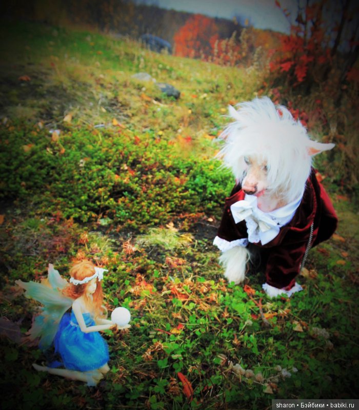 Маленький юбилей на Бебиках-5 лет (фото 9)