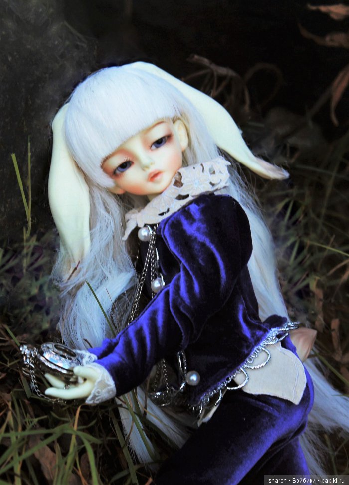 Маленький юбилей на Бебиках-5 лет