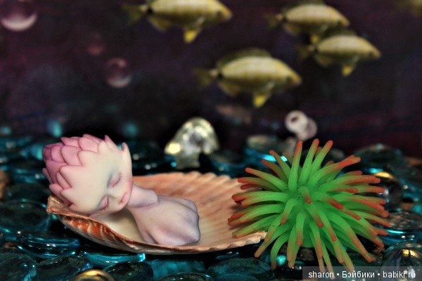 Чудо морское — Куклы Dollzone (Доллзон): BJD (БЖД)