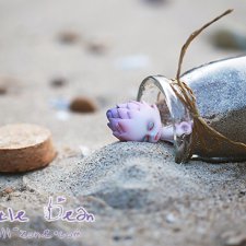 Чудо морское