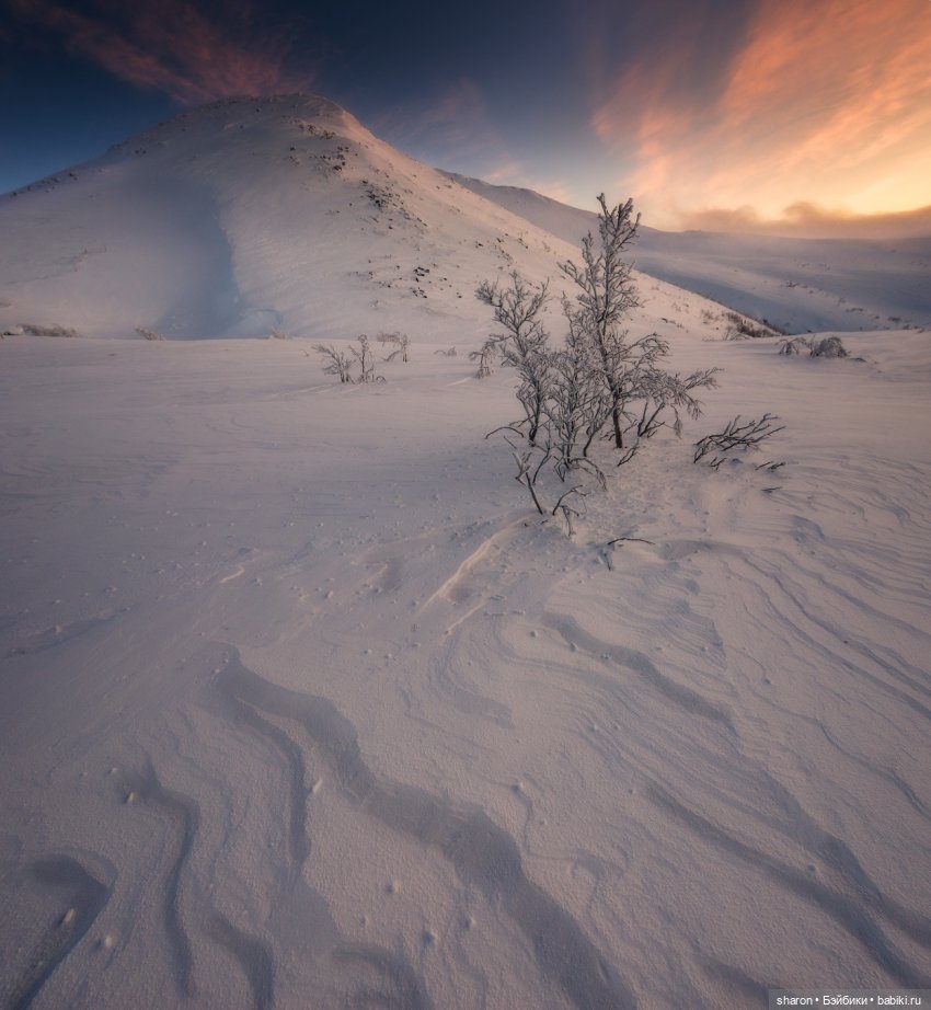 О Блайз — ООАК и репейнт игровых кукол: Bratz