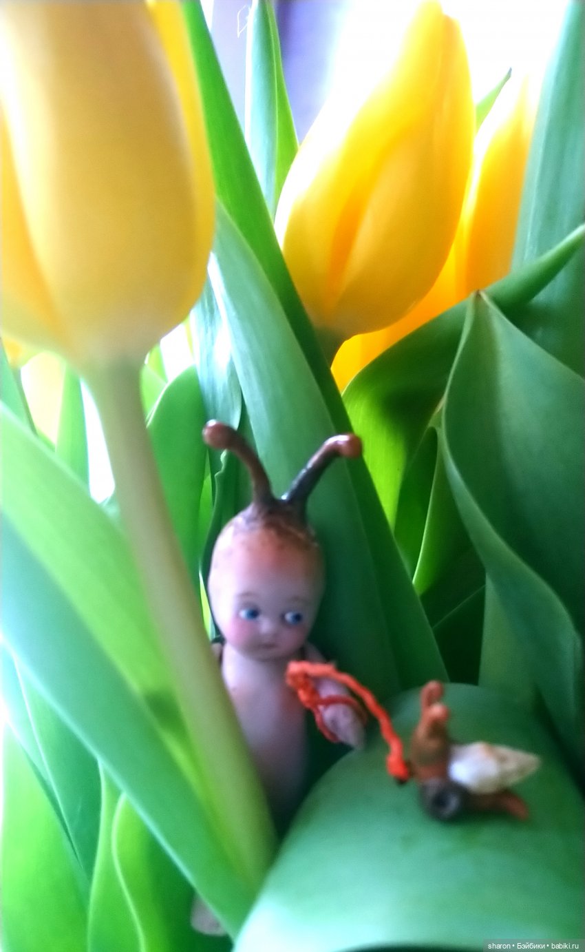 Поздравляем всех девочек — Домашние фото авторских игрушек: Тедди