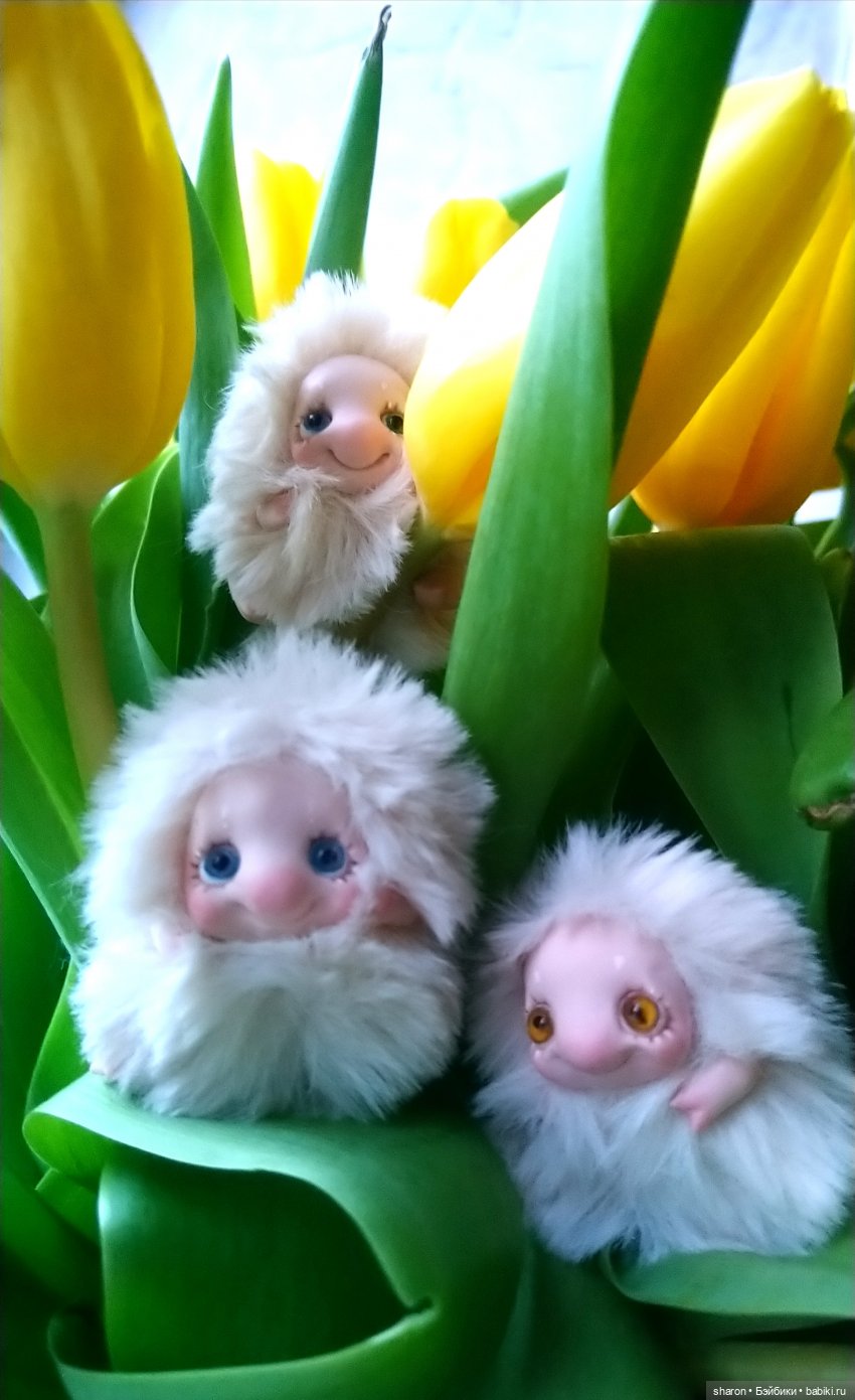 Поздравляем всех девочек — Домашние фото авторских игрушек: Тедди (фото 7)