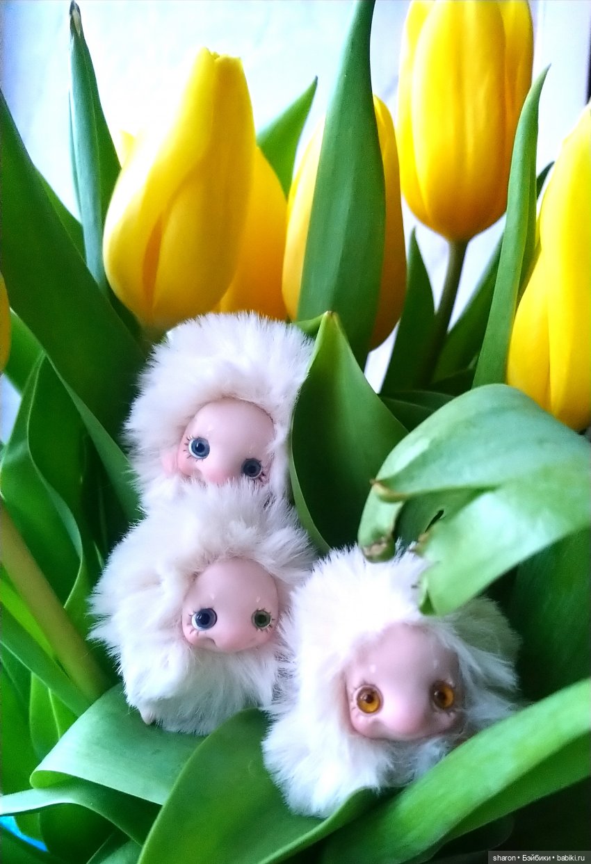 Поздравляем всех девочек — Домашние фото авторских игрушек: Тедди (фото 2)