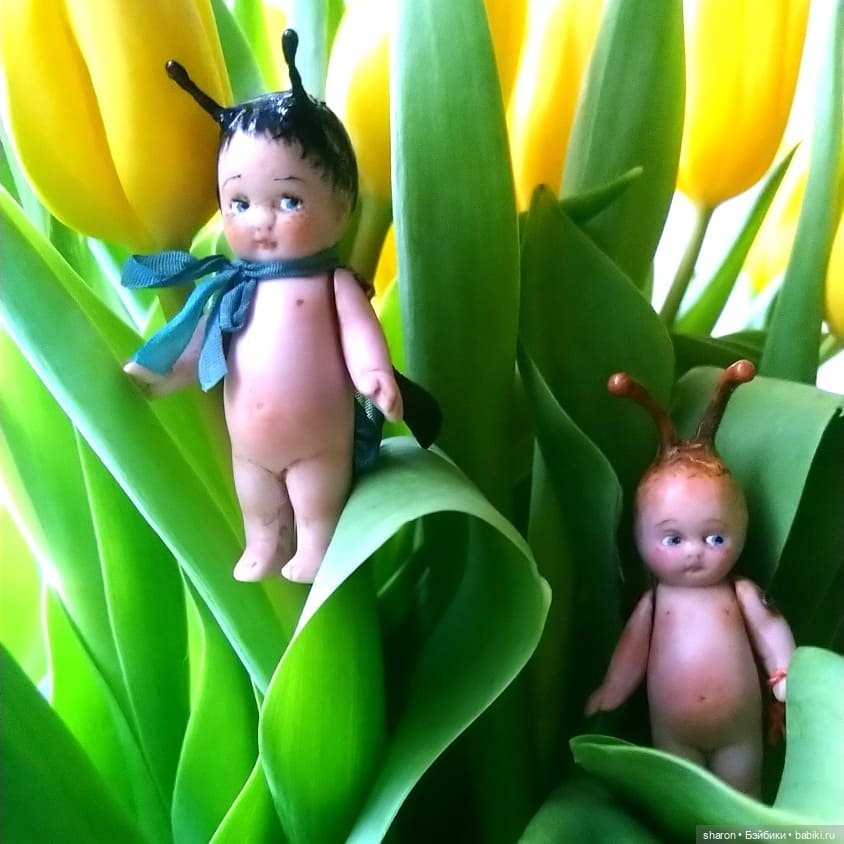 Поздравляем всех девочек — Домашние фото авторских игрушек: Тедди