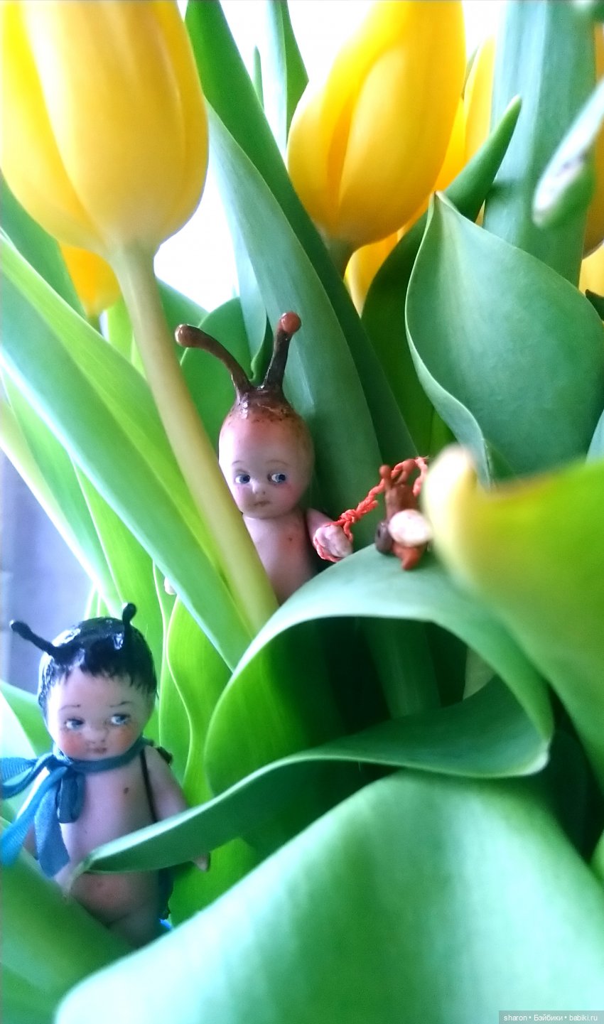 Поздравляем всех девочек — Домашние фото авторских игрушек: Тедди