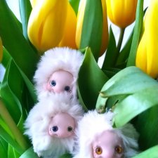 Поздравляем всех девочек!