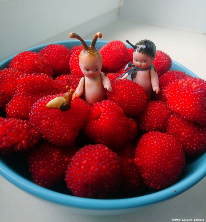 10 лет-Юбилей Куклозависимости