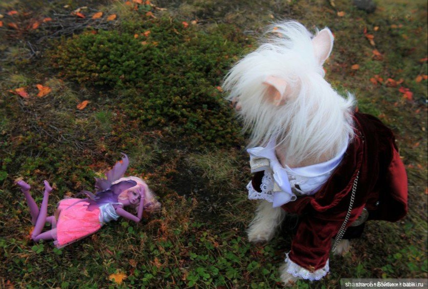 10 лет-Юбилей Куклозависимости