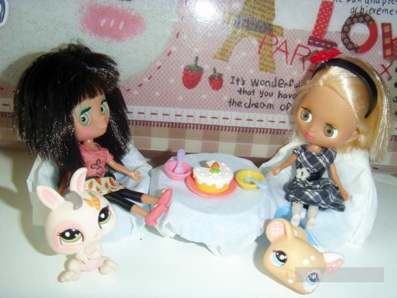 hasbro Pet Sitters, Littlest Pet Shop