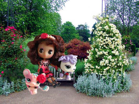 Кудряшка Сью, Блайз — Petite Blythe и LPS (Hasbro): Мини Блайз (фото 6)