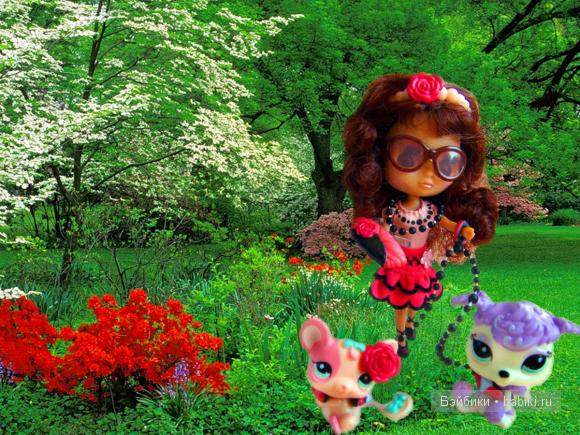 Кудряшка Сью, Блайз — Petite Blythe и LPS (Hasbro): Мини Блайз (фото 8)