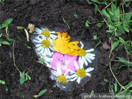 Секреты спичечного коробка (фото 4)