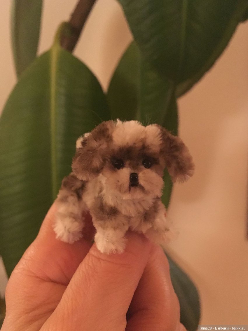 Волшебная проволока — Другие хобби и увлечения: сад (фото 9)