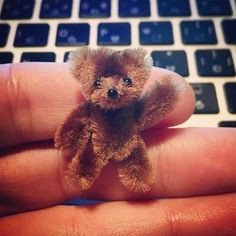 Волшебная проволока — Другие хобби и увлечения: сад