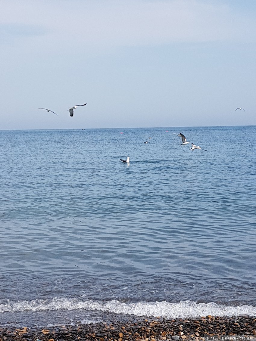 Юми и море | Бэйбики Юми и море — Куклы Azone (Азон) и тела Pure Neemo: фото (фото 7)