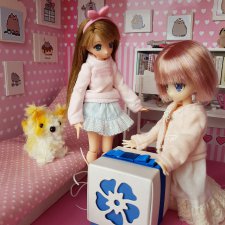 Августфестовский приз