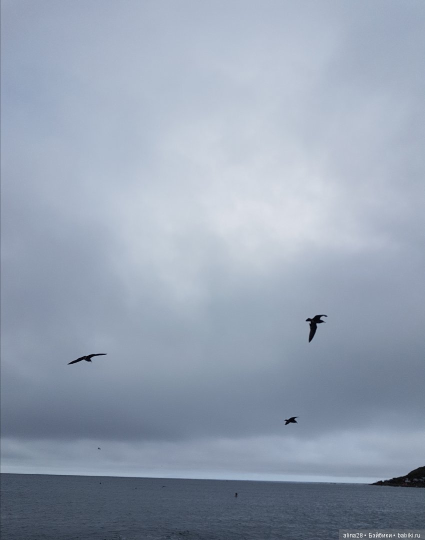 Танцы у моря — Аниме куклы (MJD/Винил): Imomo (фото 10)