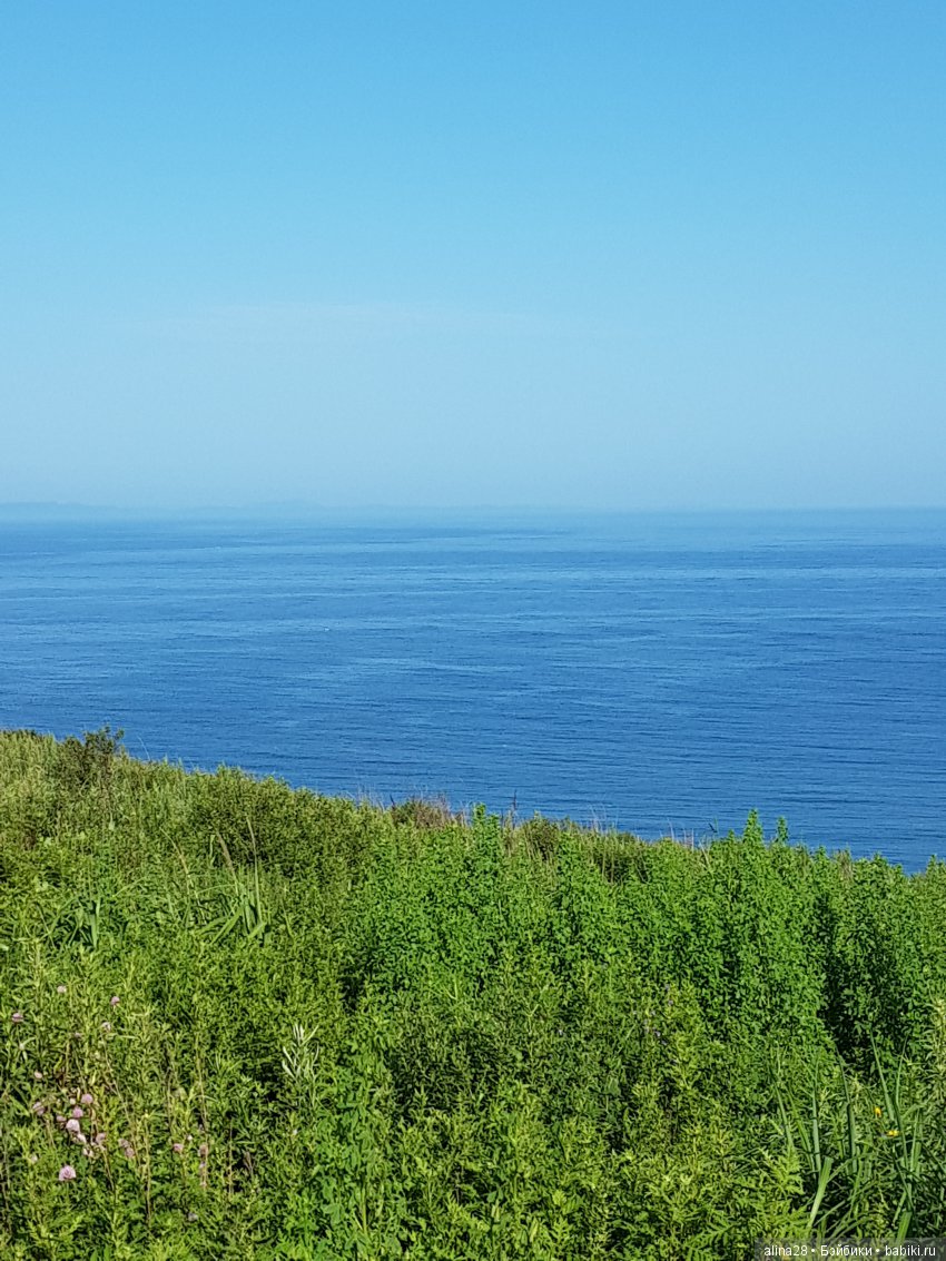 Юми в роли фотографа — Аниме куклы (MJD/Винил): Imomo