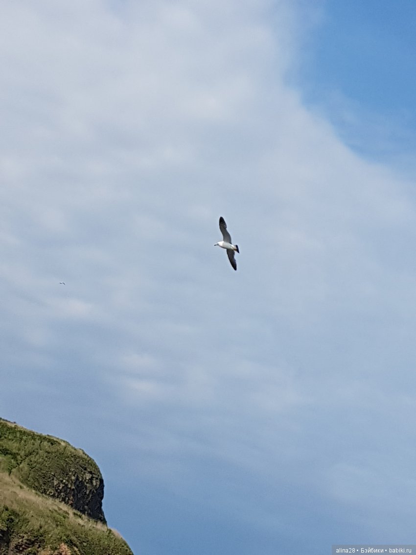 Юми в роли фотографа — Аниме куклы (MJD/Винил): Imomo