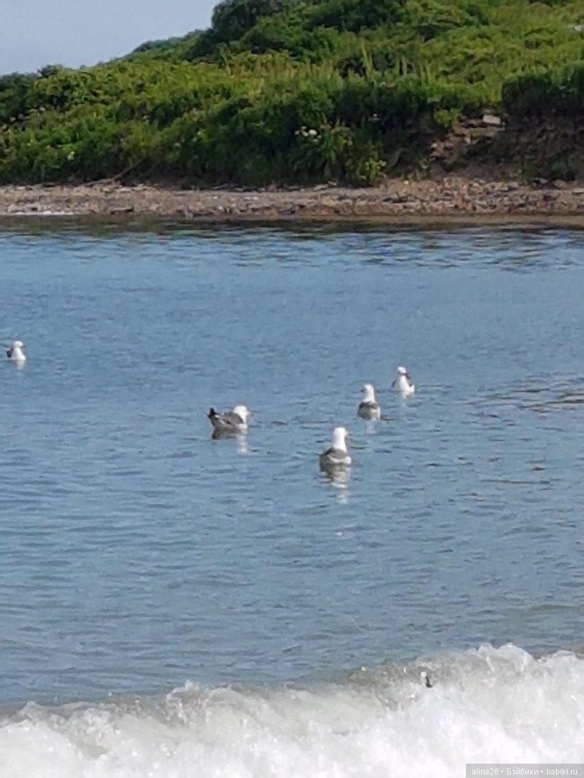 Юми в роли фотографа — Аниме куклы (MJD/Винил): Imomo