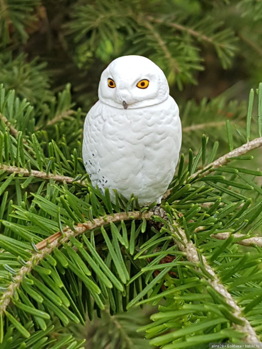 Магия совы | Бэйбики Магия совы — Интересные игрушки и фигурки (разное): редкие (фото 9)