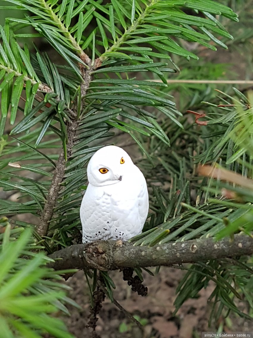 Магия совы | Бэйбики Магия совы — Интересные игрушки и фигурки (разное): редкие (фото 7)