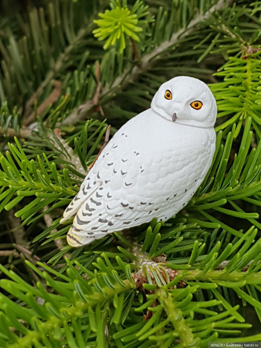 Магия совы | Бэйбики Магия совы — Интересные игрушки и фигурки (разное): редкие (фото 5)