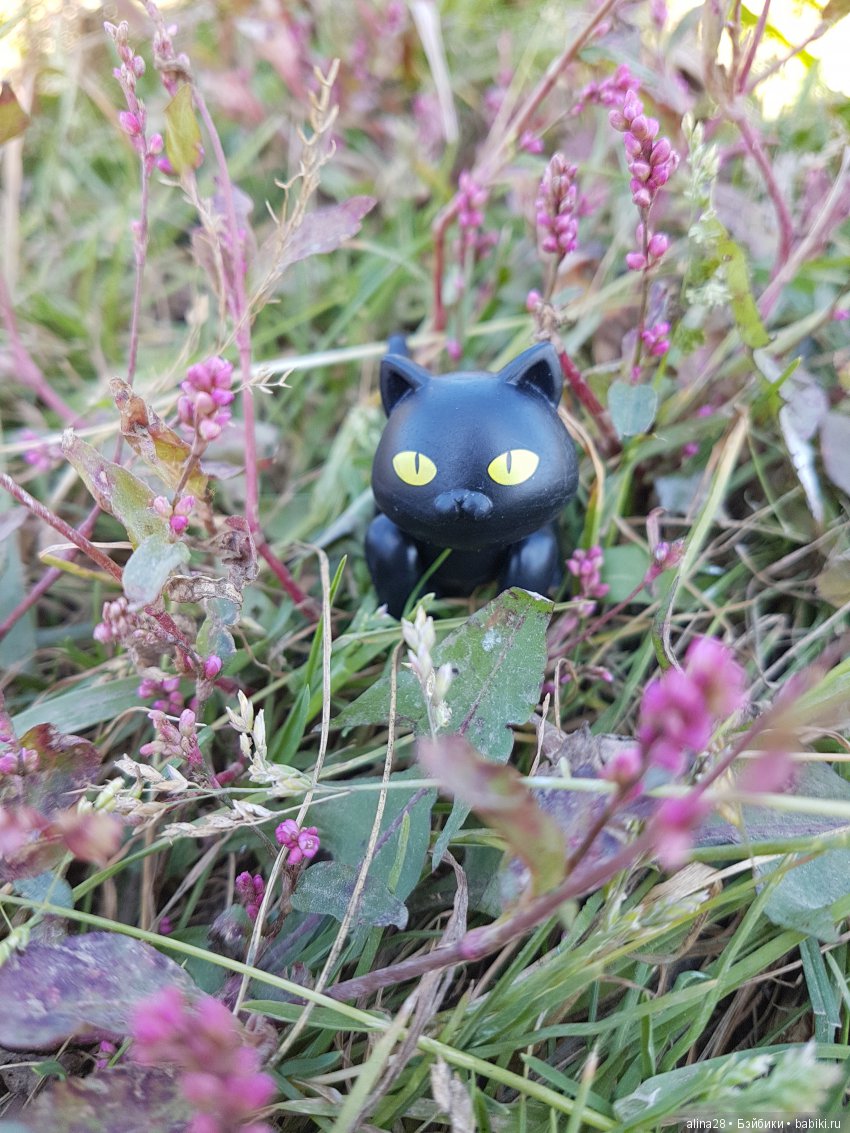 Черный кот (кошка) и магия | Бэйбики Черный кот (кошка) и магия