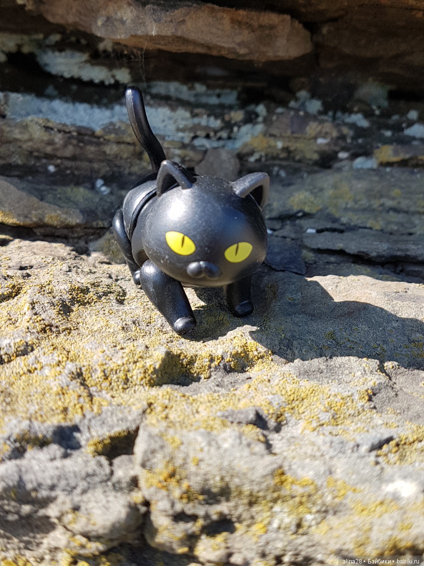 Черный кот (кошка) и магия | Бэйбики Черный кот (кошка) и магия