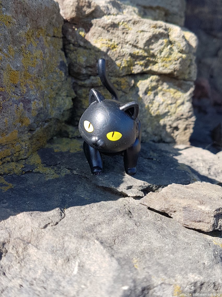 Черный кот (кошка) и магия | Бэйбики Черный кот (кошка) и магия (фото 2)