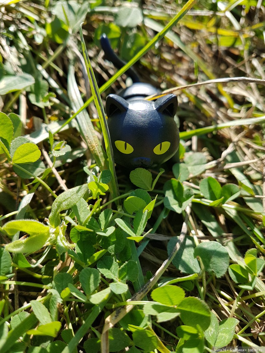 Черный кот (кошка) и магия | Бэйбики Черный кот (кошка) и магия (фото 3)